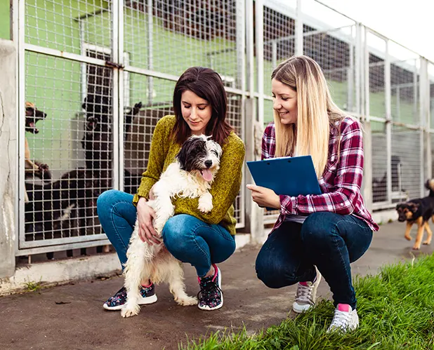 Tout ce qu’il faut savoir avant d’adopter un animal
